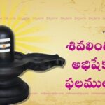 shivainga abhisheka benefits